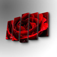 Viieosaline reproduktsioon Punane roos hind ja info | Seinapildid | kaup24.ee
