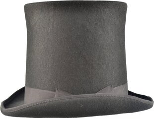Шляпа с высокой трубкой цена и информация | Мужские шарфы, шапки, перчатки | kaup24.ee