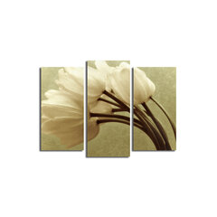 Репродукция из трех частей Белые тюльпаны цена и информация | Картины, живопись | kaup24.ee