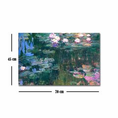 Reproduktsioon Vesiroosid (Claude Monet) цена и информация | Репродукции, картины | kaup24.ee