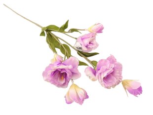 Eustoma oksake lilla hind ja info | Kunstlilled | kaup24.ee