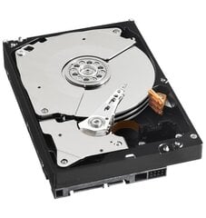 Western Digital WD5003AZEX Black HDD 500GB 2.5" 7200RPM SATA3 64MB hind ja info | Sisemised kõvakettad (HDD, SSD, Hybrid) | kaup24.ee