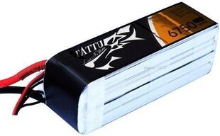 Aku Tattu 6750mAh 14.8V 25C 4S1P цена и информация | Смарттехника и аксессуары | kaup24.ee