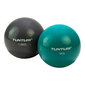 Fintess-Pall Tunturi Toning ball 1,5 kg цена и информация | Võimlemispallid | kaup24.ee