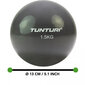 Fintess-Pall Tunturi Toning ball 1,5 kg цена и информация | Võimlemispallid | kaup24.ee