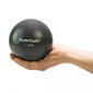 Fintess-Pall Tunturi Toning ball 1,5 kg цена и информация | Võimlemispallid | kaup24.ee