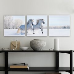 Репродукция из трех частей Белые лошади цена и информация | Картины, живопись | kaup24.ee