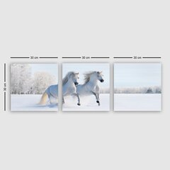 Репродукция из трех частей Белые лошади цена и информация | Картины, живопись | kaup24.ee