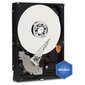 Sisemine kõvaketas Western Digital Blue HDD 2TB 5400RPM SATA3 64MB WD20EZRZ цена и информация | Sisemised kõvakettad (HDD, SSD, Hybrid) | kaup24.ee