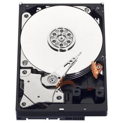 Western Digital Blue 3.5" 2000 GB Serial ATA III цена и информация | Внутренние жёсткие диски (HDD, SSD, Hybrid) | kaup24.ee