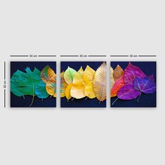 Репродукция из трех частей Цветные листья цена и информация | Картины, живопись | kaup24.ee