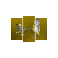 Репродукция из трех частей Желтые птицы цена и информация | Картины, живопись | kaup24.ee