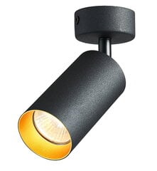 Направленный светильник GU10 черно-золотого цвета цена и информация | Потолочные светильники | kaup24.ee