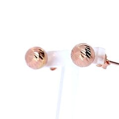 Kuldsed kõrvarõngad RE01_AU585AS_000_PINK-1,47- hind ja info | Kõrvarõngad | kaup24.ee