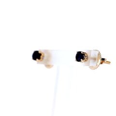 Vääriskividega kuldsed kõrvarõngad JE02345-0.05_BR585AS_006_YELLOW-0,78G 0,02CT- hind ja info | Kõrvarõngad | kaup24.ee