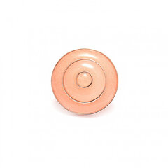 Серебряное кольцо с кварцем SGMR2031PC цена и информация | Кольцо | kaup24.ee