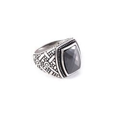 Серебряное кольцо SGZKY-21 цена и информация | Кольцо | kaup24.ee