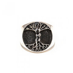 Серебряное кольцо SGZKY-1216 цена и информация | Кольцо | kaup24.ee