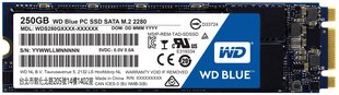Western Digital SSD 250GB M.2 SATAIII WDS250G1B0B цена и информация | Внутренние жёсткие диски (HDD, SSD, Hybrid) | kaup24.ee