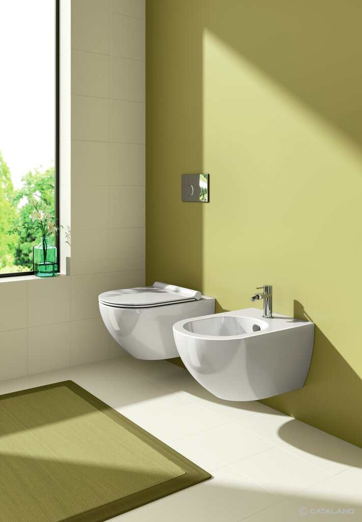 Seinapealne wc pott SFERA NF 54 (prill-lauaga) Catalano hind ja info | WС-potid | kaup24.ee