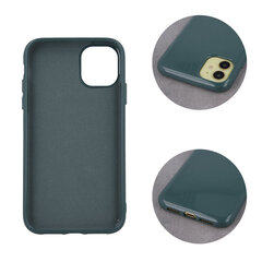 Чехол Jelly Case Apple iPhone 13 Pro темно-зеленый цена и информация | Чехлы для телефонов | kaup24.ee