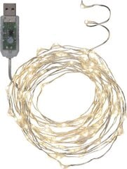 USB Valguskett "Kastetilgad" 100 LED tuld, külm valge, hõbedane, Pikkus 5m, toitejuhe 1m, -pinge 5V DC цена и информация | Гирлянды | kaup24.ee