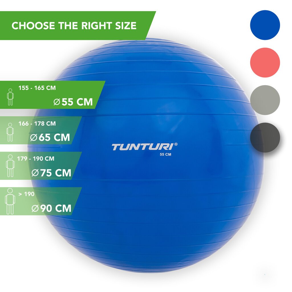 Võimlemispall pumbaga Tunturi 55 cm, sinine цена и информация | Võimlemispallid | kaup24.ee