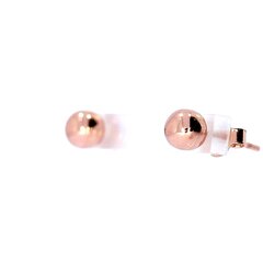 Kuldsed kõrvarõngad RE04_AU585AS_000_PINK-1,04- hind ja info | Kõrvarõngad | kaup24.ee