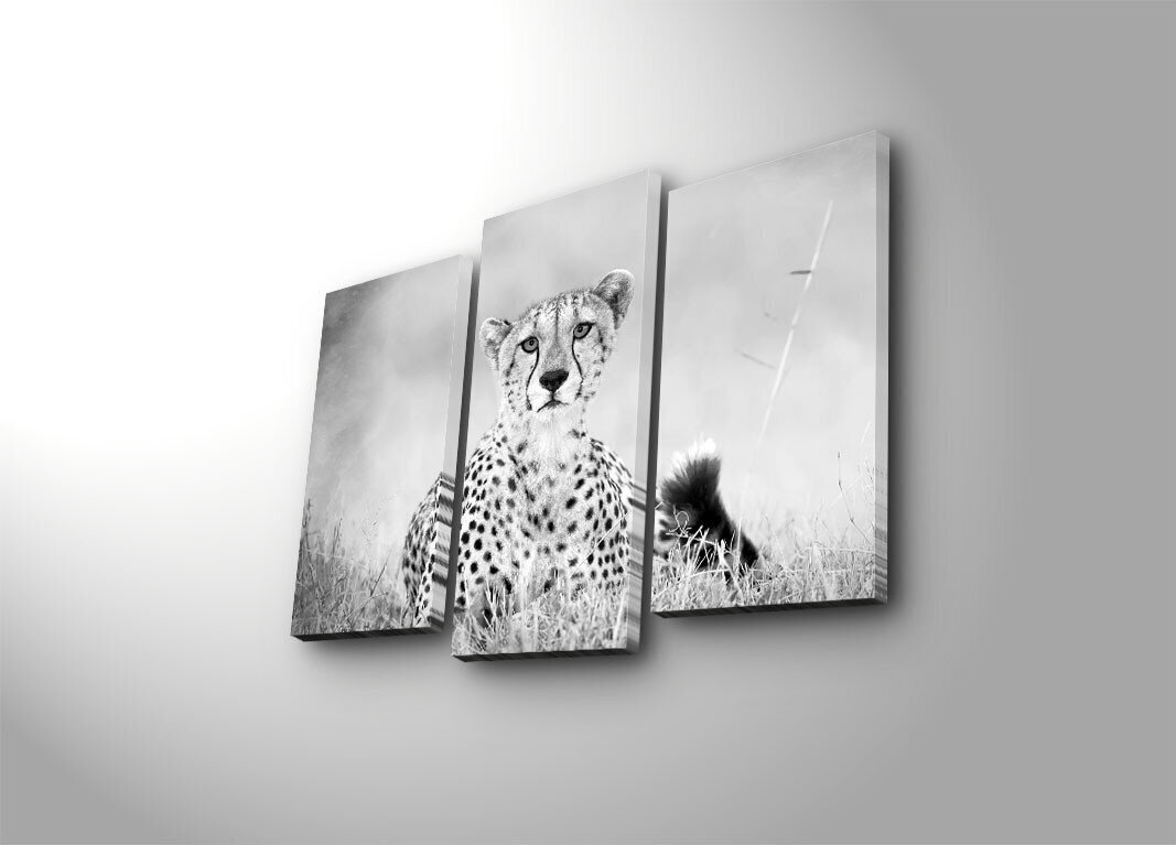 Kolmeosaline reproduktsioon Gepard цена и информация | Seinapildid | kaup24.ee