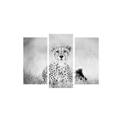 Kolmeosaline reproduktsioon Gepard hind ja info | Seinapildid | kaup24.ee