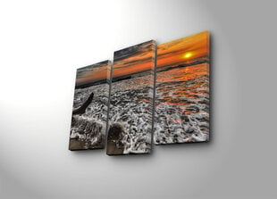 Репродукция из трех частей Море цена и информация | Картины, живопись | kaup24.ee
