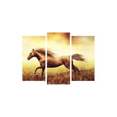 Репродукция из трех частей Конь в поле цена и информация | Картины, живопись | kaup24.ee