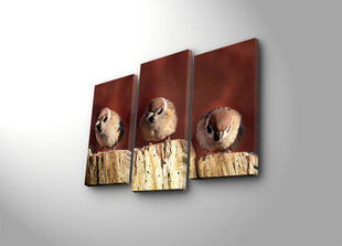 Репродукция из трех частей Три птицы цена и информация | Картины, живопись | kaup24.ee