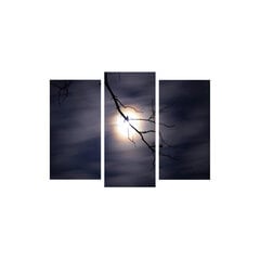Репродукция из трех частей Лунный свет цена и информация | Картины, живопись | kaup24.ee