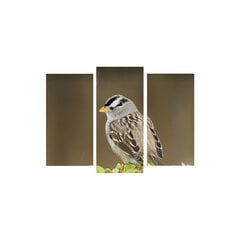 Репродукция из трех частей Птица цена и информация | Картины, живопись | kaup24.ee