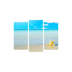 Репродукция из трех частей Морской звезды на пляже цена и информация | Картины, живопись | kaup24.ee