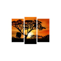 Репродукция из трех частей Африканский пейзаж цена и информация | Картины, живопись | kaup24.ee
