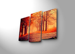 Репродукция из трех частей Осень в парке цена и информация | Картины, живопись | kaup24.ee