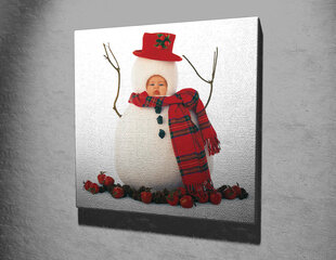 Reproduktsioon Beebi lumememme kostüümis hind ja info | Seinapildid | kaup24.ee