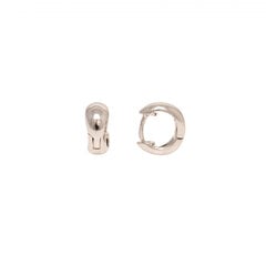 Серебряные серьги-кольца SAAE6359 SAAE6359 цена и информация | Серьги | kaup24.ee