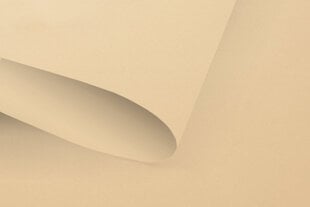 Ruloo Klasika Plius, 100x170 cm цена и информация | Рулонные шторы | kaup24.ee