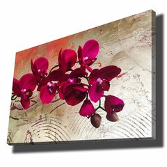Reproduktsioon Orhidee цена и информация | Картины, живопись | kaup24.ee