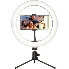 LED-rõngakujuline lamp telefonihoidjaga blogijatele Platinet PMRL8 цена и информация | Держатели для телефонов | kaup24.ee