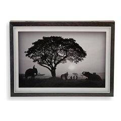 Pilt Aafrika цена и информация | Картины, живопись | kaup24.ee