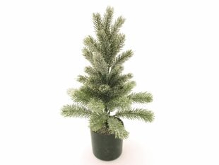 Рождественская ель, 0,5 м цена и информация | Новогодние елки | kaup24.ee