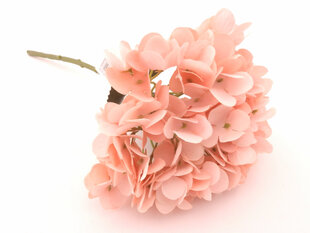 Гортензия бледно-розовая цена и информация | Искусственные цветы | kaup24.ee