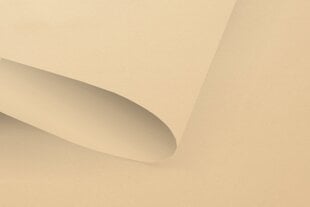 Ruloo Klasika Plius, 160x170 cm цена и информация | Рулонные шторы | kaup24.ee