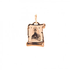 Золотой кулон со знаком зодиака ''Дева'' ZKZ033/9 цена и информация | Украшения на шею | kaup24.ee