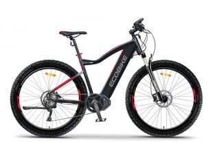 Elektriratas Ecobike RX 500 19", 17,5 ah LG, 2021 цена и информация | Электровелосипеды | kaup24.ee