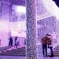 Kardin 600 LED 3x6 m koos puldiga ja dimmeriga "Premium Intelligence", külm valge цена и информация | Jõulutuled | kaup24.ee